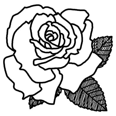 バラ6 バラ 薔薇 2 花 無料 白黒イラスト素材