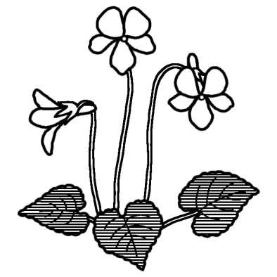 スミレ2 春の花 無料 白黒イラスト素材
