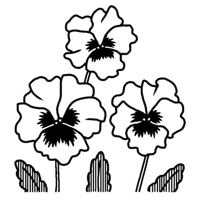 パンジー2 春の花 無料 白黒イラスト素材