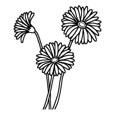 ガーベラ 春の花 無料 白黒イラスト素材