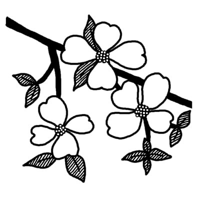 ハナミズキ 花水木 春の花 無料 白黒イラスト素材