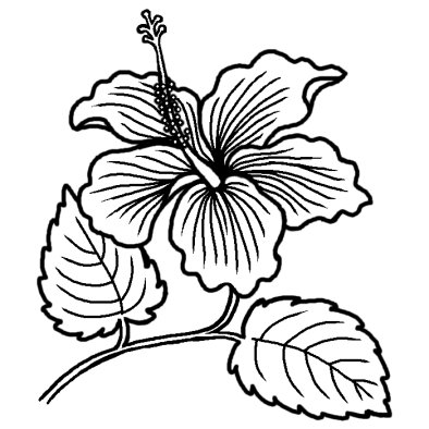 ハイビスカス1 夏の花 無料 白黒イラスト素材