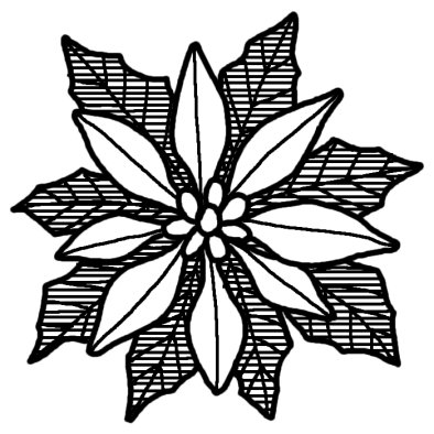 ポインセチア2 ポインセチア シクラメン 冬の花 無料 白黒イラスト素材