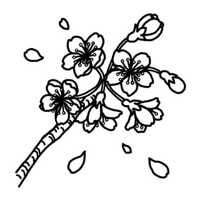 サクラ4 サクラ 桜 春の花 無料 白黒イラスト素材