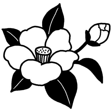 ツバキ2 ツバキ ウメ 椿 梅 冬の花 無料 白黒イラスト素材