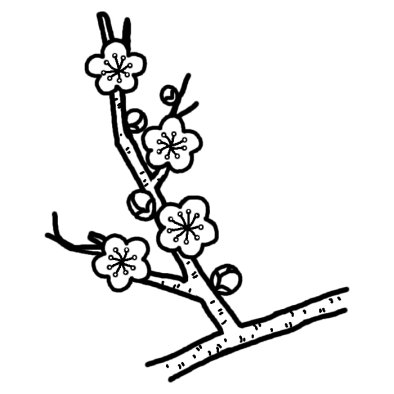 ウメ2 ツバキ ウメ 椿 梅 冬の花 無料 白黒イラスト素材